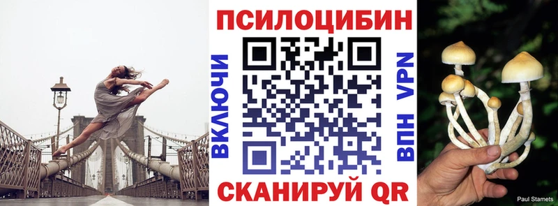 Псилоцибиновые грибы Magic Shrooms  Купить где  Барыш 